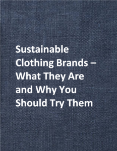 Writing Sample - Sustainable Clothing Brands